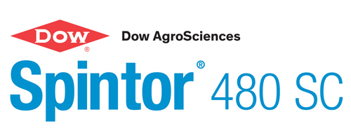 patrocinador-dow-spintor