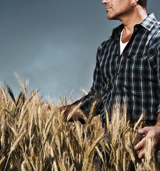 agroindustria-down-agroscience